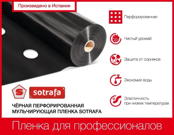 Плівка мульчуюча SOTRAFA чорна (30мкм), перфофорована 30*25см, 1,2*1000м