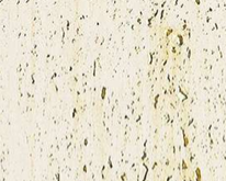 Гнучка кераміка (Flexible Ceramic) - TRAVERTINE CLASSIC (1200*600*2-3 mm)